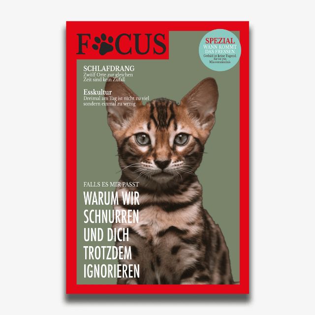 Pet World Poster-Motiv FURCUS für Katzen