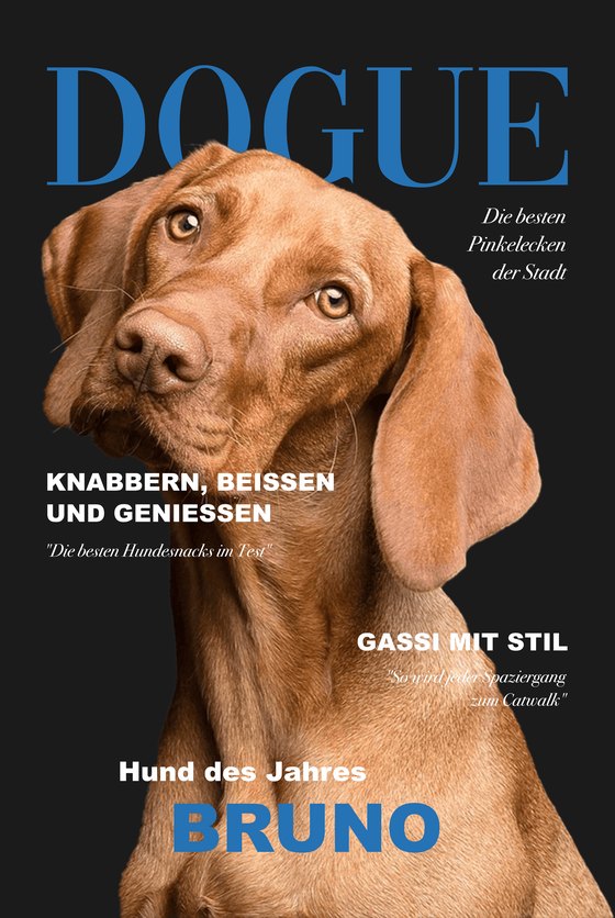 Poster DOGUE mit einem Magyar Vizsla