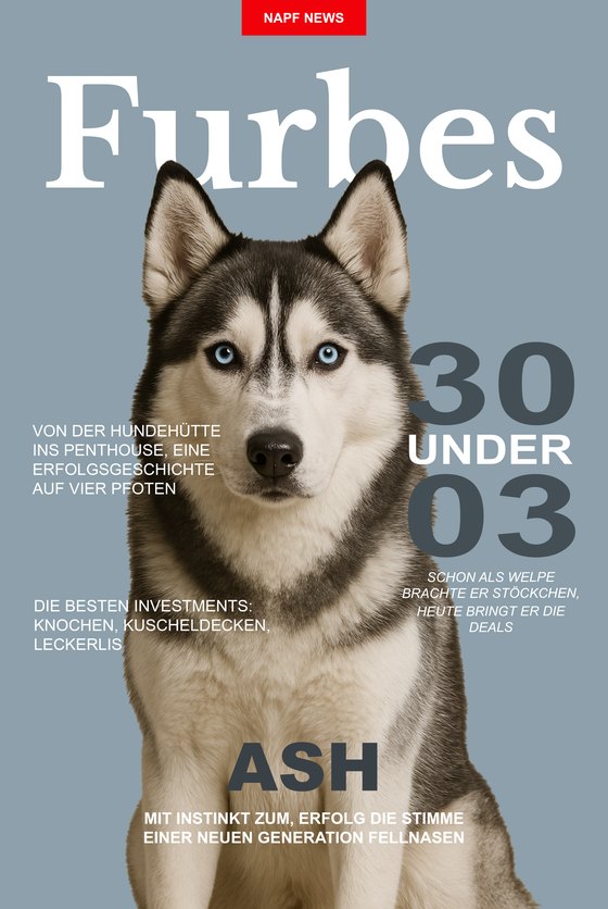 Poster Furbes mit einem Husky
