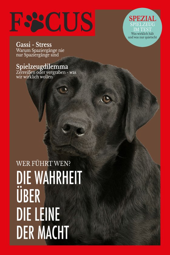 Poster FOCUS mit einem schwarzen Labrador
